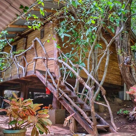Golden Rainbow Guest House Дамбулла Экстерьер фото